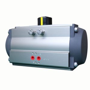 Pneumatic Actuator